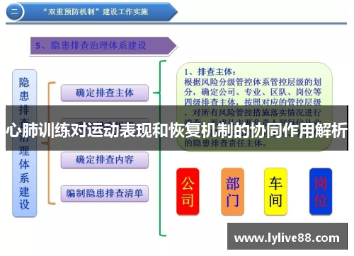 心肺训练对运动表现和恢复机制的协同作用解析