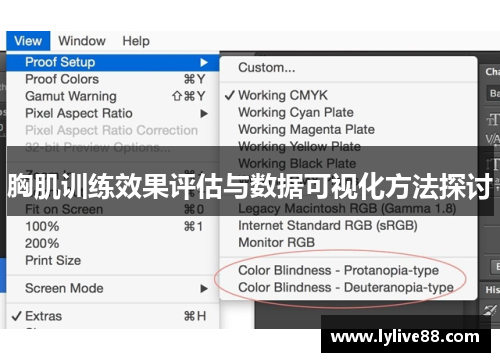 胸肌训练效果评估与数据可视化方法探讨